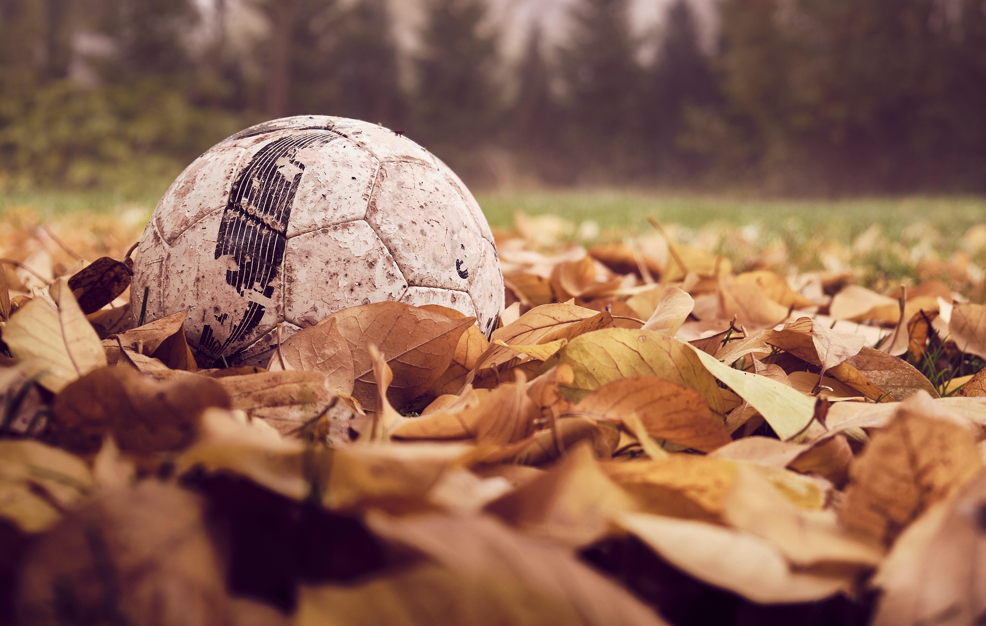 Support Youth Soccer